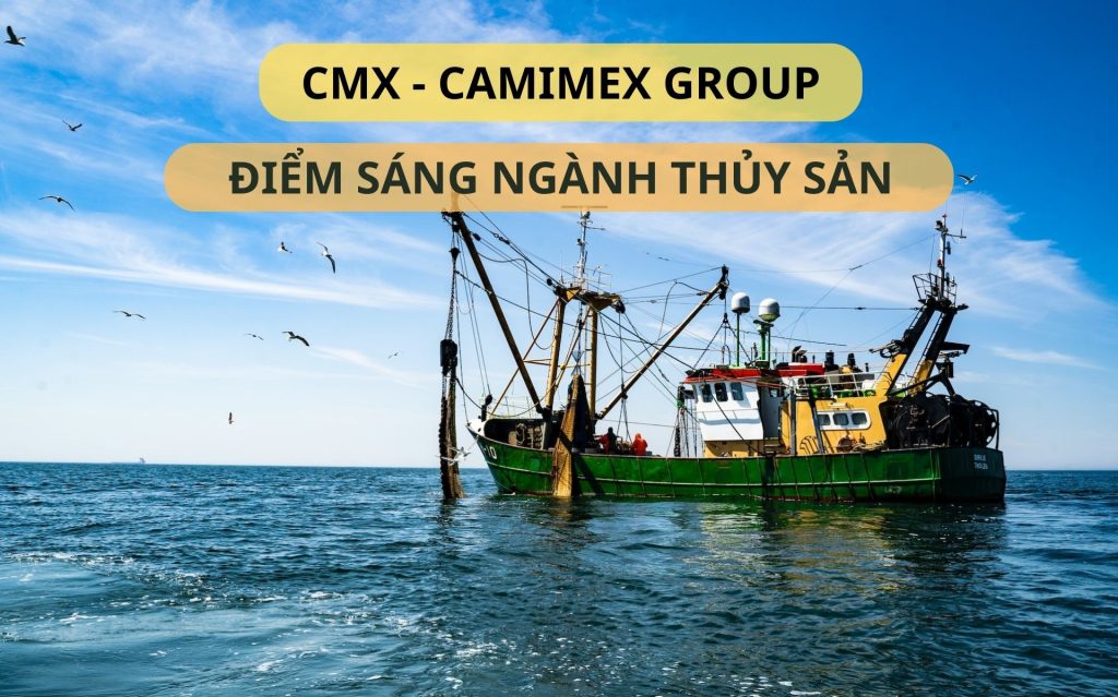Phân tích cổ phiếu CMX - Camimex Group, điểm sáng ngành thủy sản