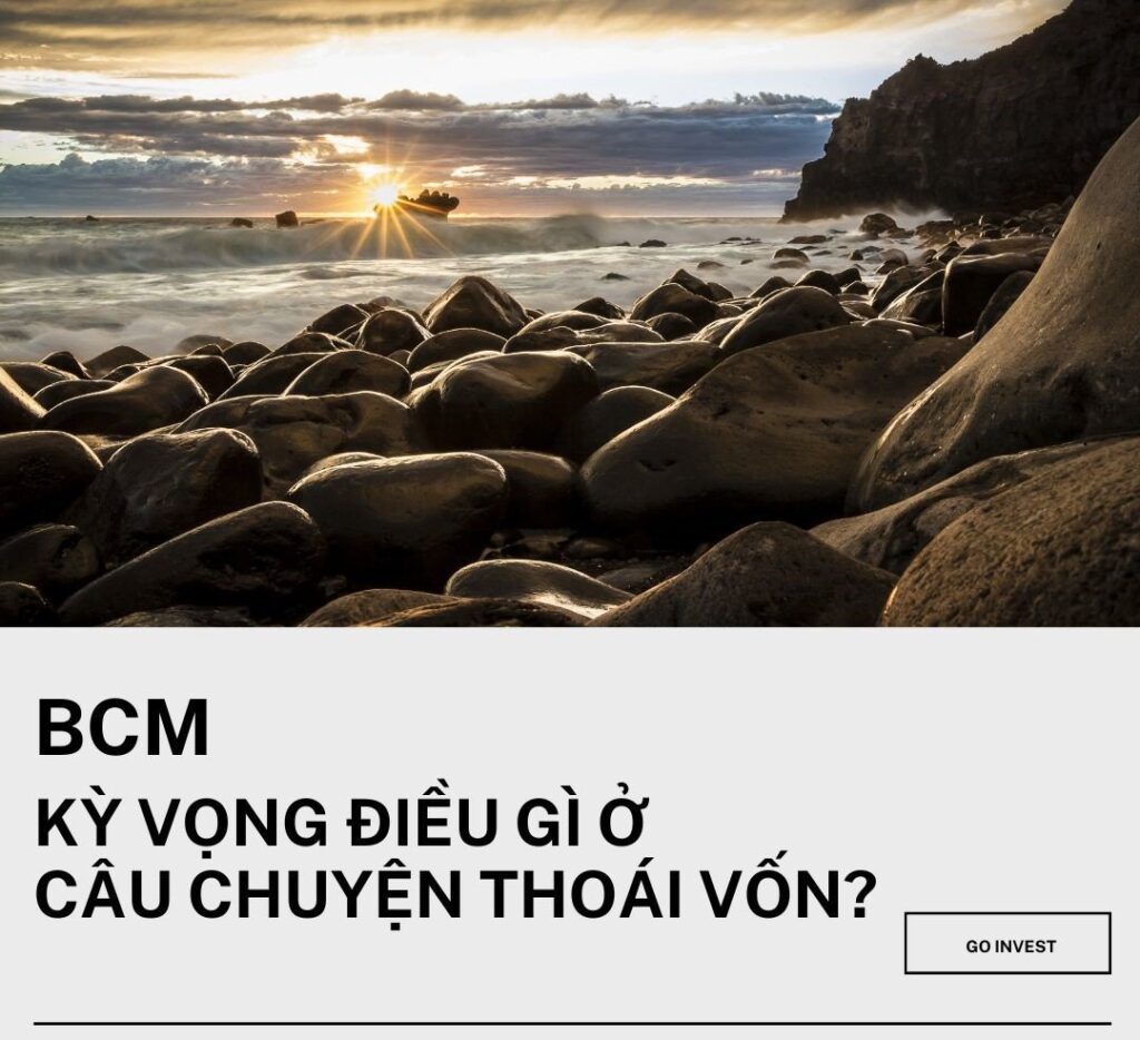 BCM - kỳ vọng câu chuyện thoái vốn